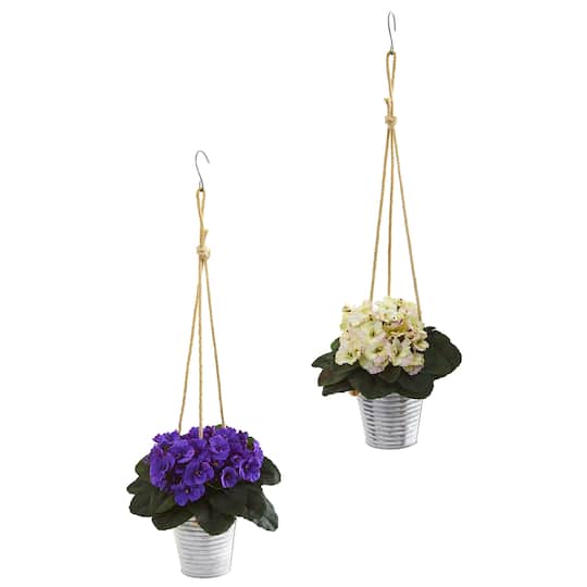 21&#x22; African Violet Plants in Hanging Buckets Set